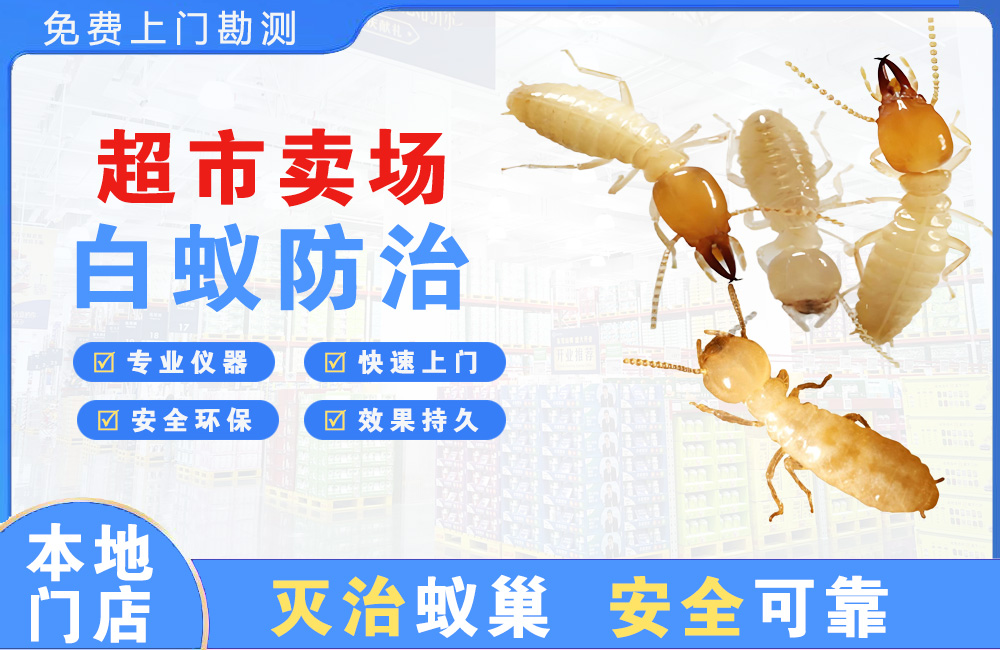 蚌埠超市卖场白蚁防治