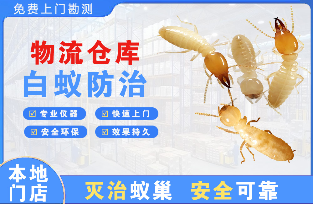 蚌埠物流仓库白蚁防治