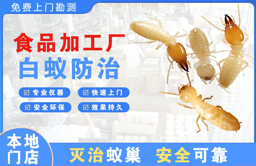 蚌埠食品加工厂白蚁防治