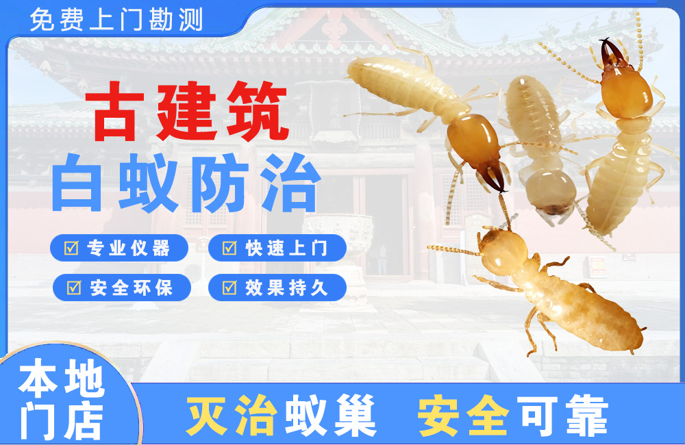 蚌埠古建筑白蚁防治
