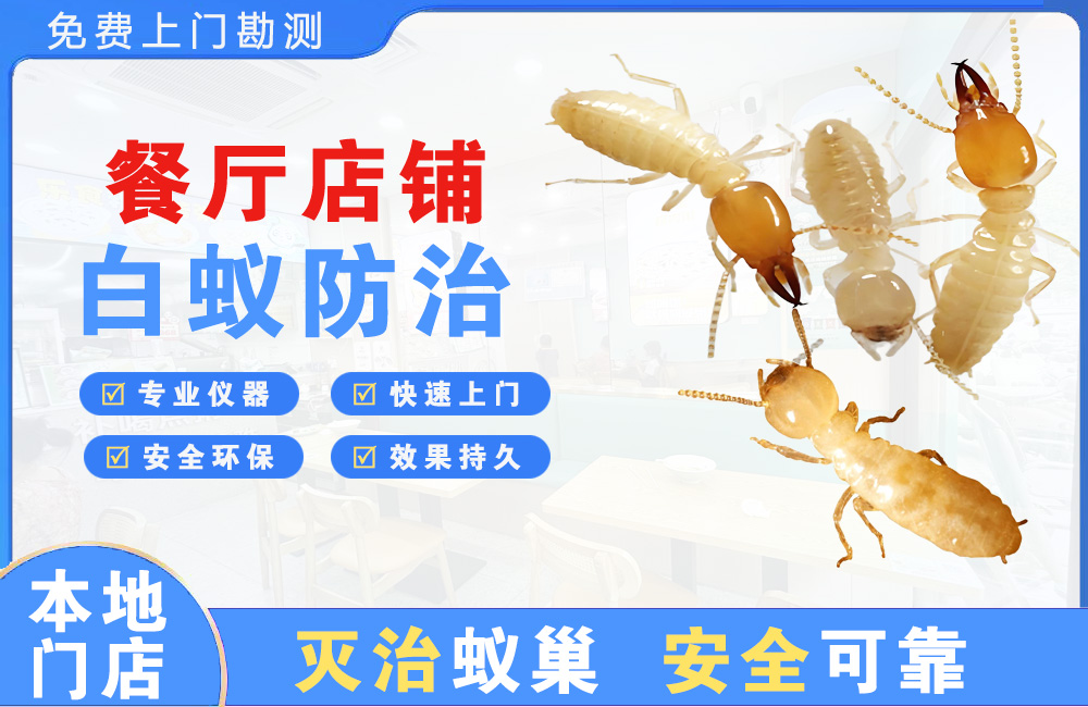 蚌埠餐厅店铺白蚁防治